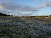 Summer Vacation 2018-171  A sand dune in the middle of the Oregon coast - go figure!